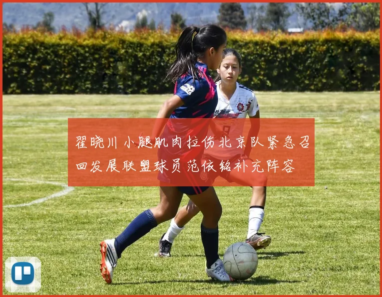 翟晓川小腿肌肉拉伤北京队紧急召回发展联盟球员范依铭补充阵容