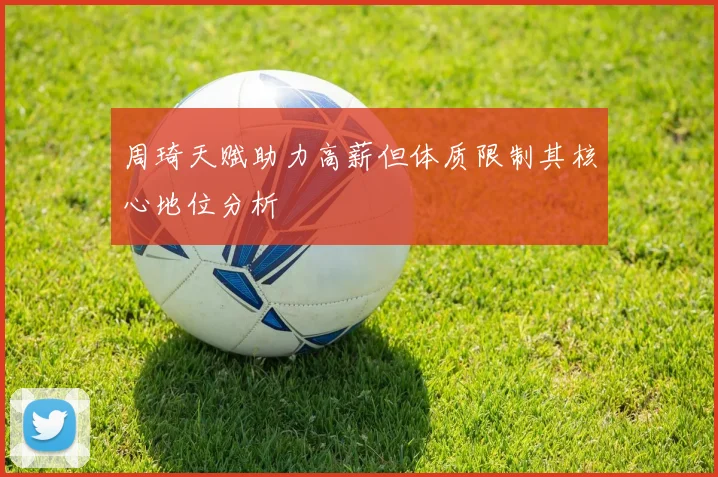 周琦天赋助力高薪但体质限制其核心地位分析
