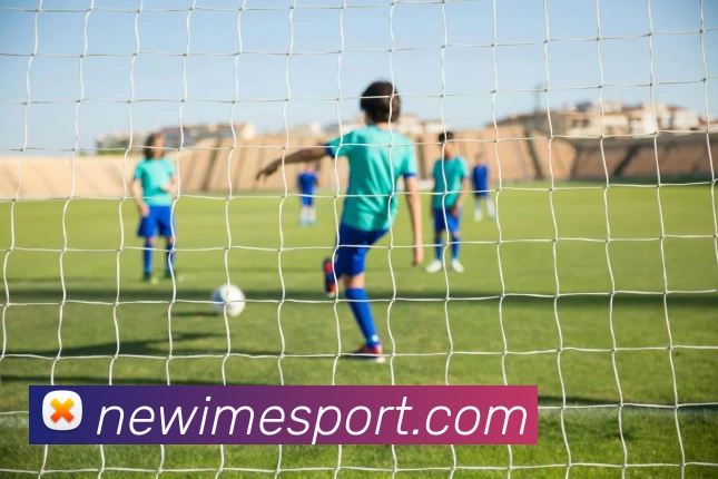 App Interface Preview