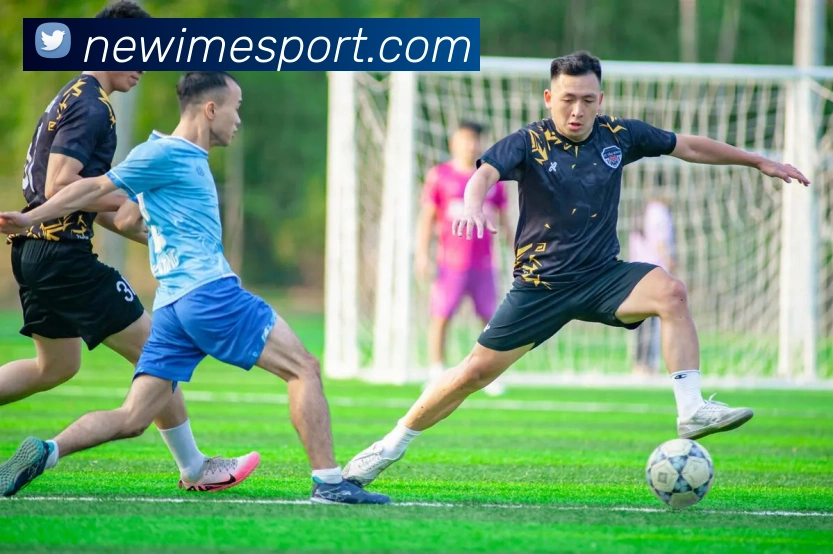 IM电竞APP 封面图